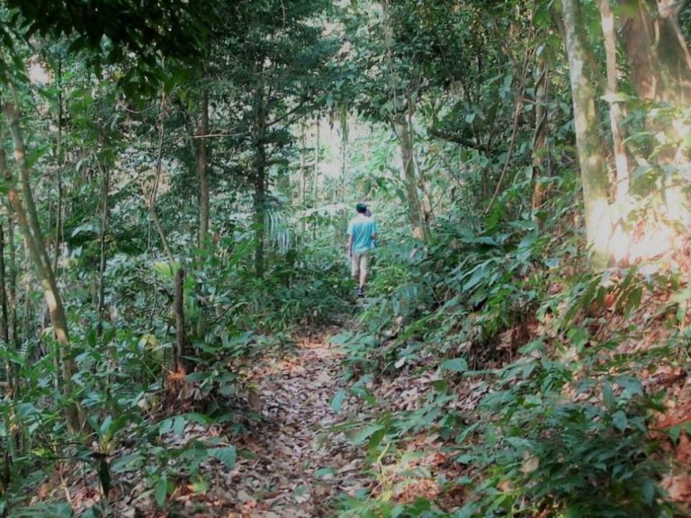 Taman Rimba Bukit Kiara