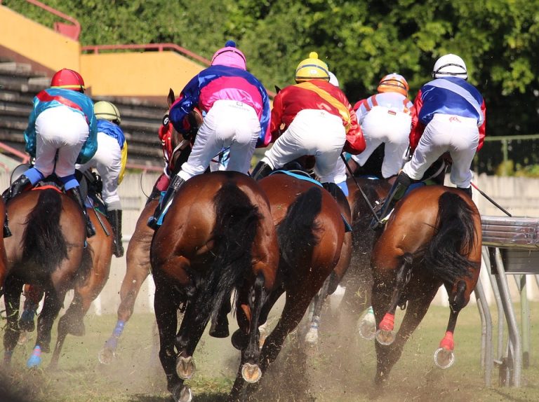 Rogue trainer’s drug conviction hurts local horse racing