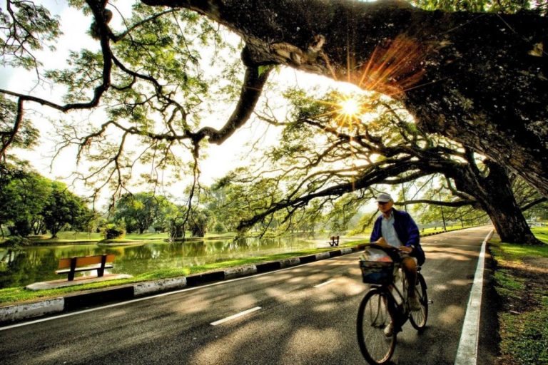 Decision makers missing the point in promoting Taiping