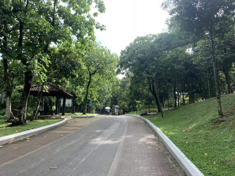 Taman Rimba Kiara: Federal Court ruling sweet victory, but don’t forget longhouse residents’ wait for permanent home
