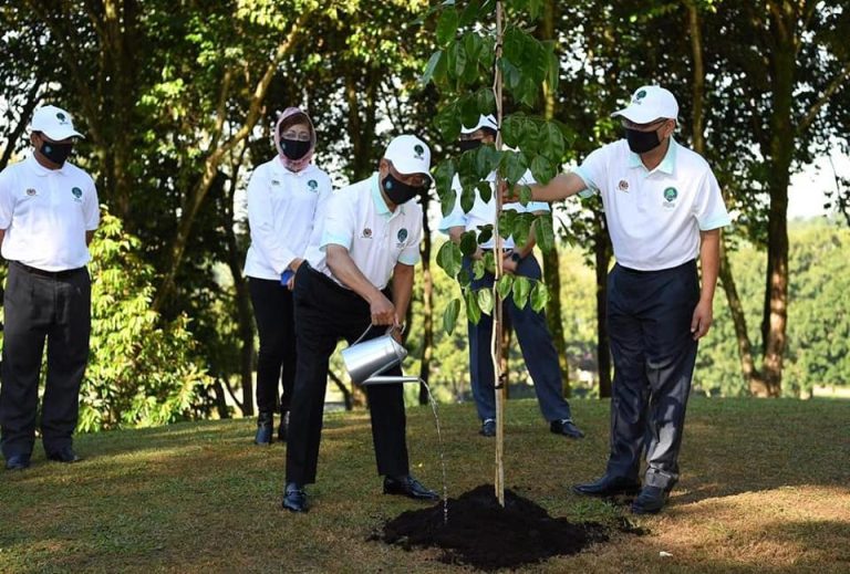 Ensure the success of 100 million tree-planting project