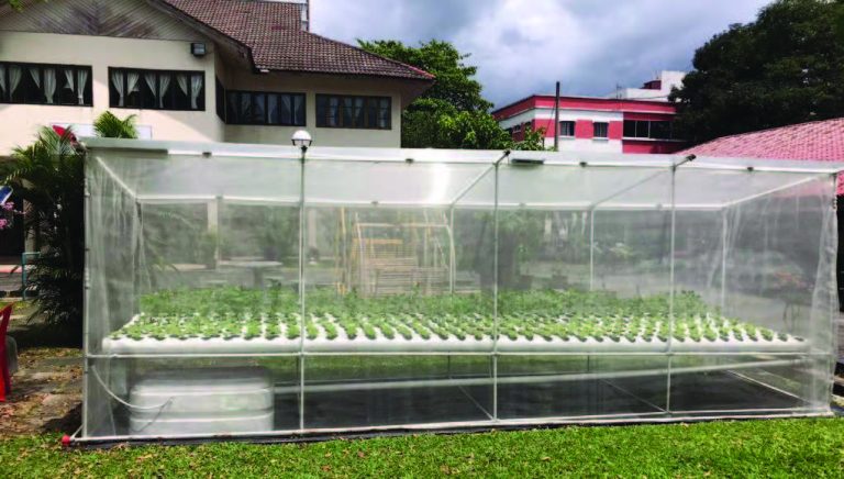 Rotary Gombak helps Cheshire Home Selangor adopt sustainable farming to improve residents’ quality of life