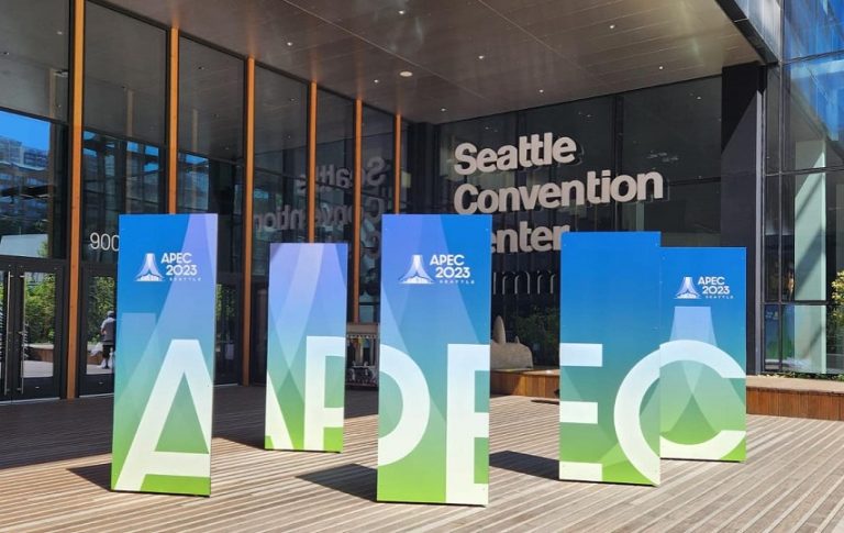 ‘Snubbing APEC a missed opportunity to be heard globally’