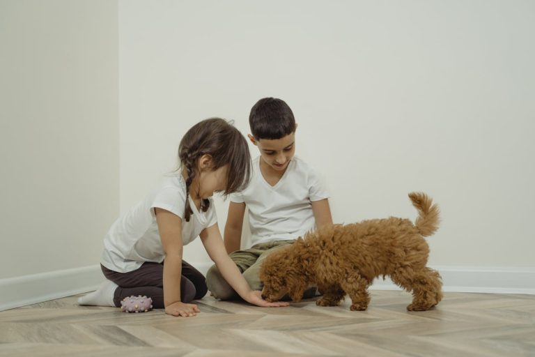 Compassion and action can change the lives of animals and people