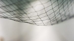 A safety net.