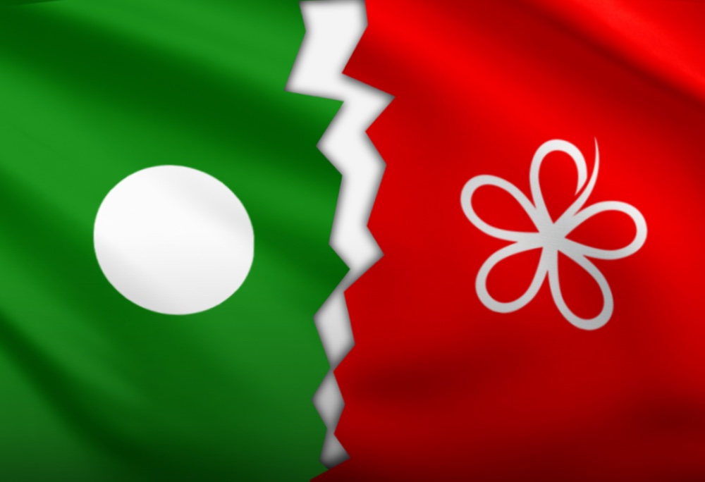 An image of two flags - Pas and Bersatu.