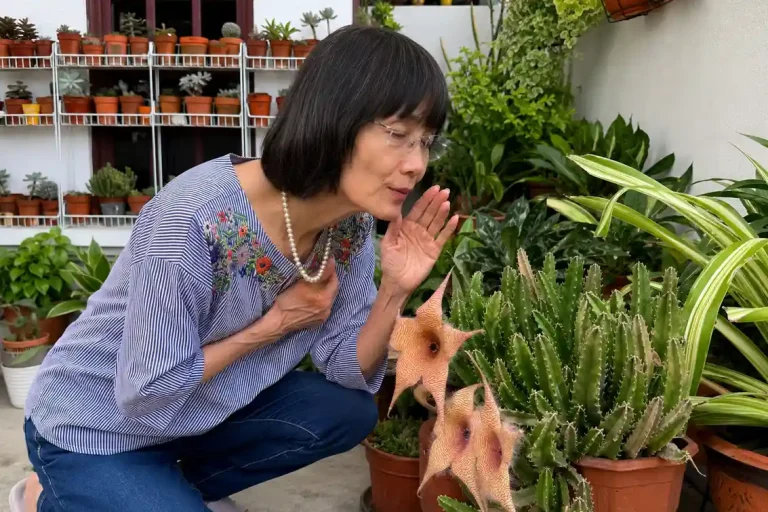 Rina whispering to her cactus flowers