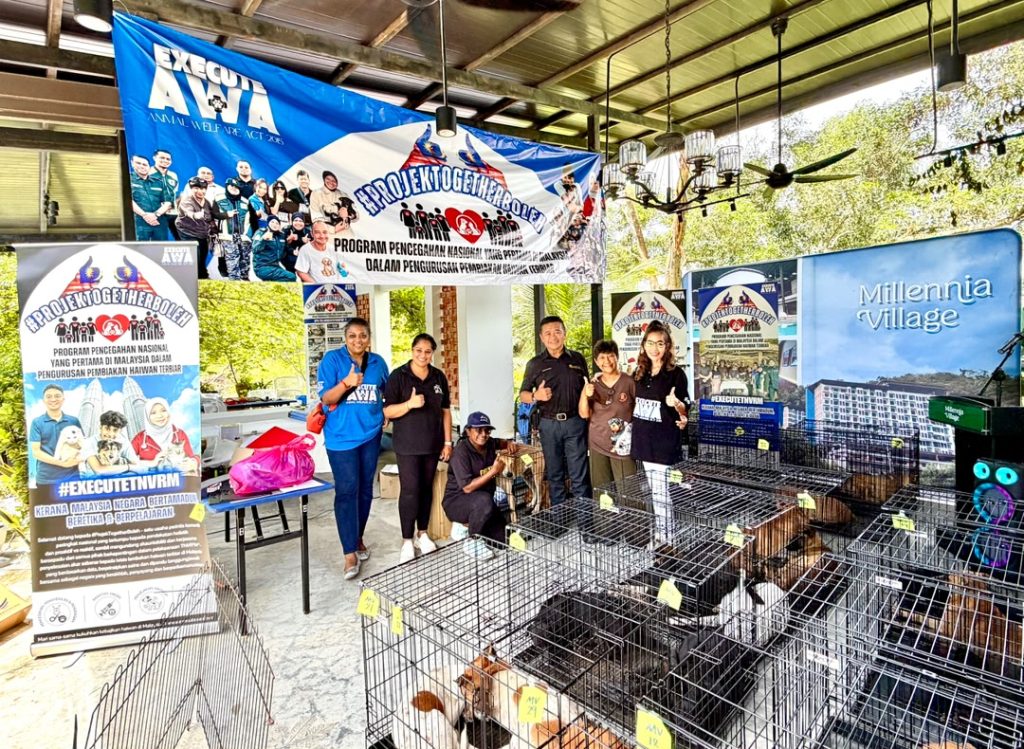 ExecuteAWA is driving a national movement centred on accountability, data collection and cross-sector partnerships to deliver lasting animal welfare reforms.