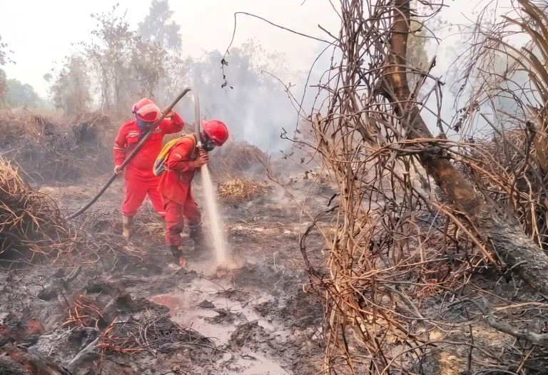 Four decades of fires, transboundary haze, but Indonesia’s prevention still falls short